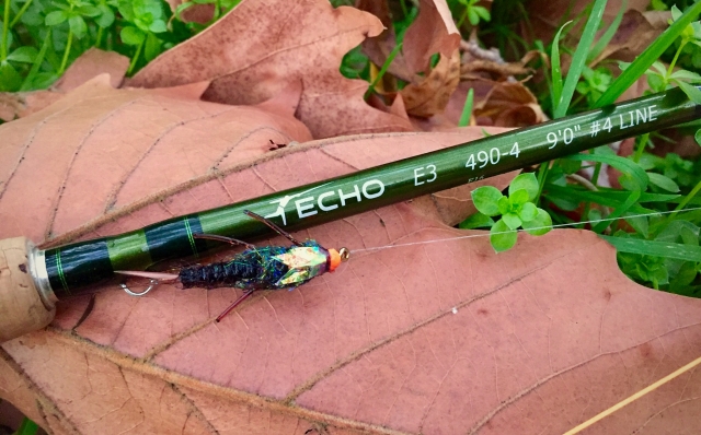 Técnica de pesca con mosca en Albacele