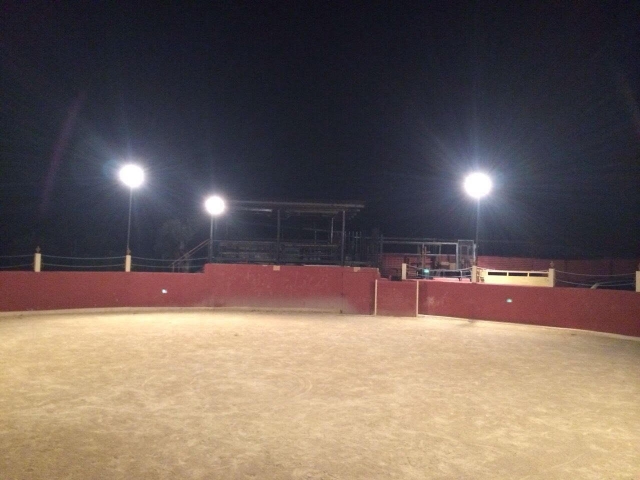  A praça de touros espera por você para fazer seus passeios com as novilhas 