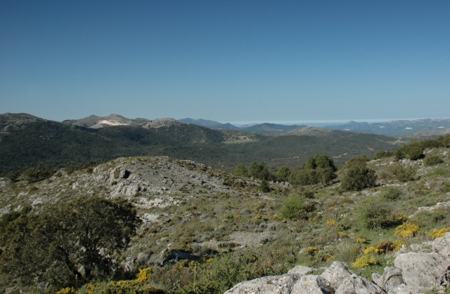 Entorno natural de Sierra de las Nieves