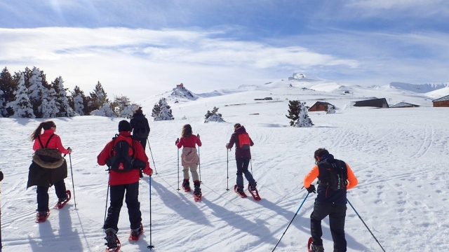  手持滑雪杖在内华达山脉徒步旅行 