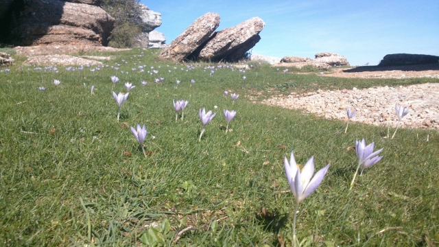  Naturgebiet Torcal 