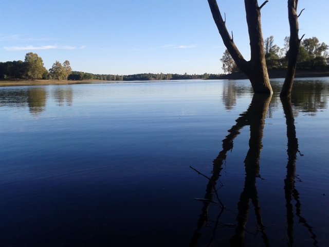  Pinilla 水库 