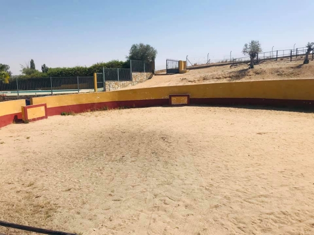 Capea compartida con 2 vaquillas