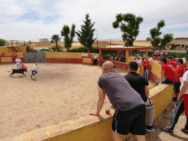 Celebra una capea en Salamanca