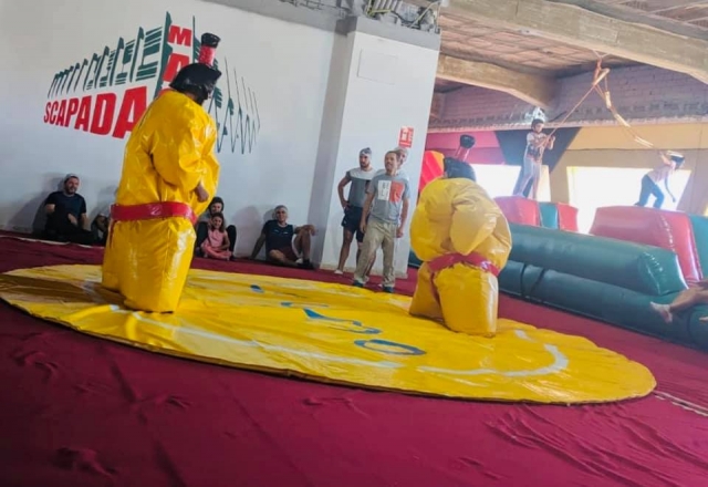  Lutte sumo sur tatami 