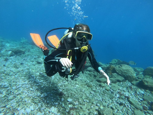 Bautizo de buceo en mar + vídeo en Radazul, 3h