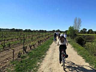 Wine tourism on an electric bike in El Penedés 4 hours