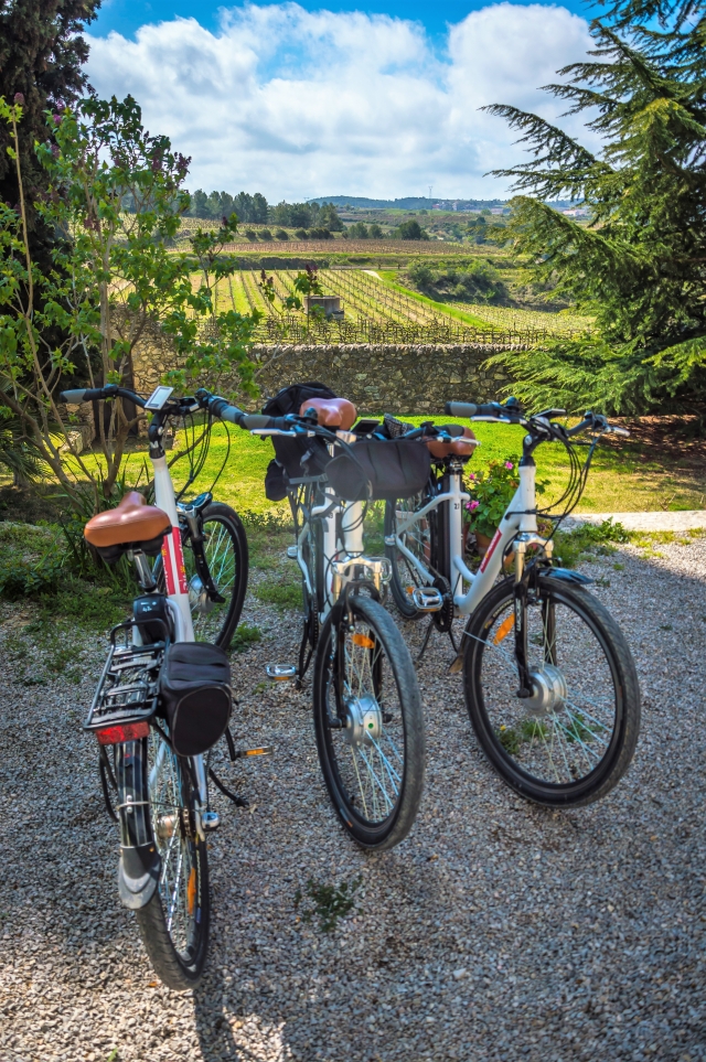  Our bicycles 