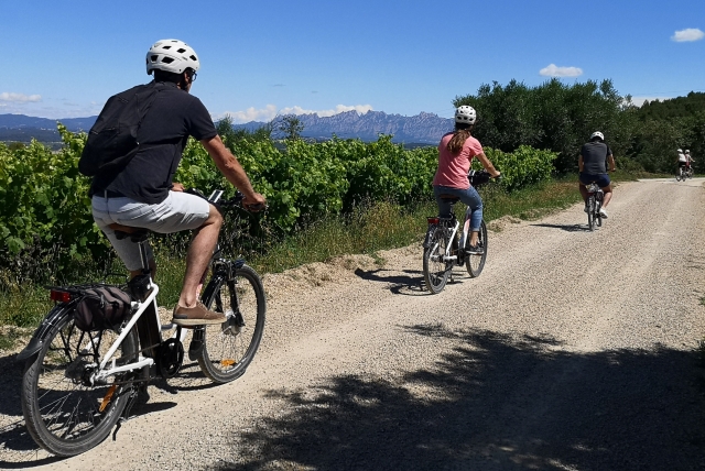  Knowing the origin of wines with Designation of Origin 