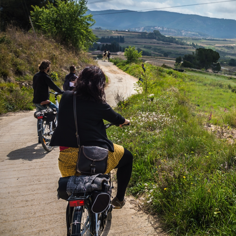  Route in good company through Penedés 