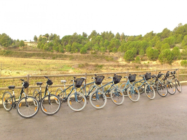 Flota de bicicletas para todas las edades