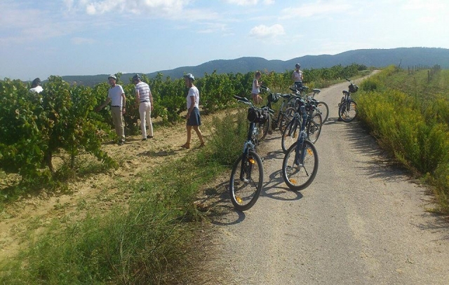  Journée de pédalage à travers les vignobles du Penedés 