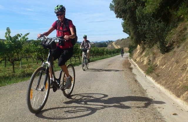  Louez votre vélo pour explorer le Penedés 