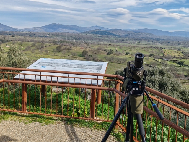 Desde el mirador