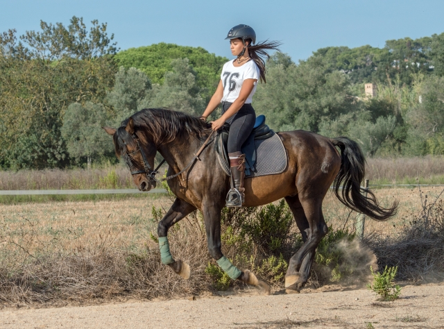 Dans les zones de la vallée de Bell Lloc à cheval 