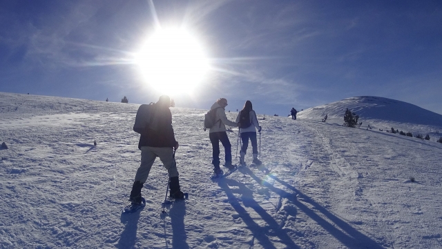 Itinéraire en raquettes à neige à Porté-Puymorens 