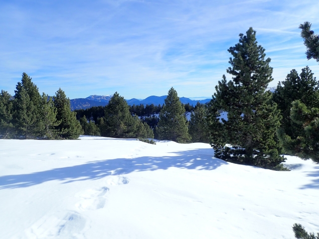 Pasea con raquetas de nieve en el Valle de Incles