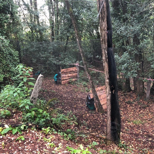  Tranchées avec planches de bois 