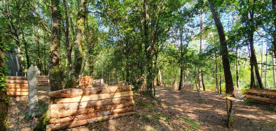  Our scenario that simulates a forest 