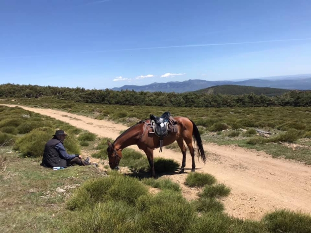 Un descanso para el caballo y el jinete