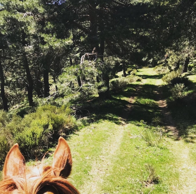 Senderos natural a caballo