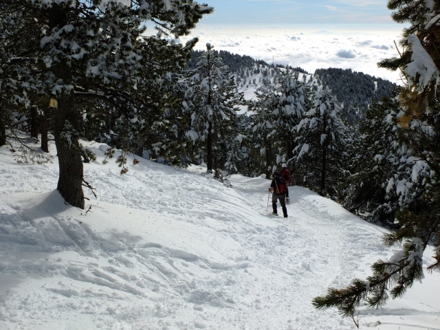 Schneeschuhausflug in die Sierra Nevada 