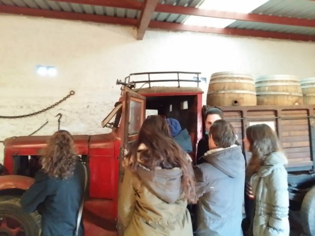  The barrels where the wine is found 
