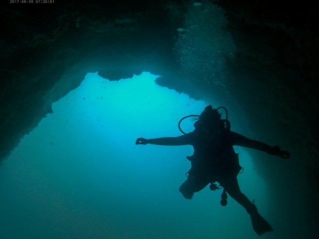  Diving classes in Tenerife 
