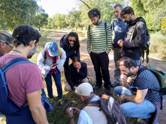  Visite mycologique dans la Sierra de Aracena 