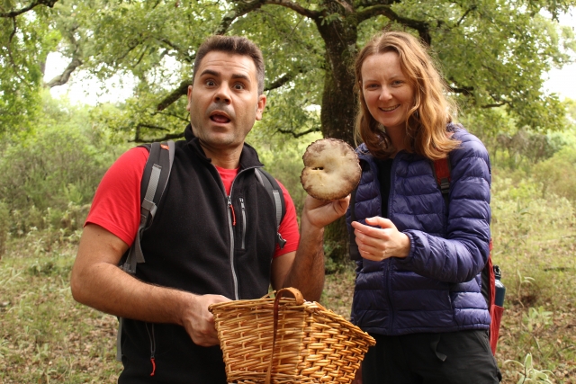  Cueillette de champignons dans la Sierra de Aracena 