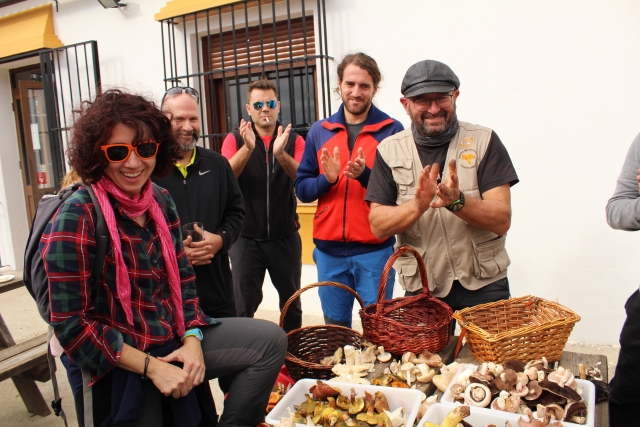  Collecte d'échantillons de champignons