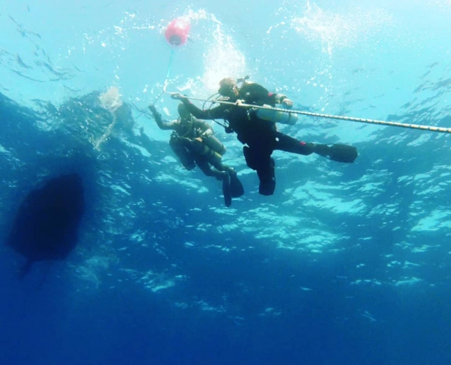 Renta su equipo de buceo duranle 1 día