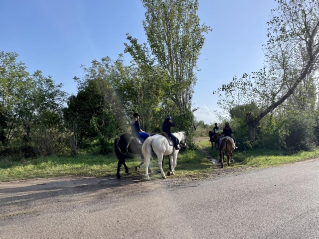  Passeios a cavalo pela zona rural de Almazora