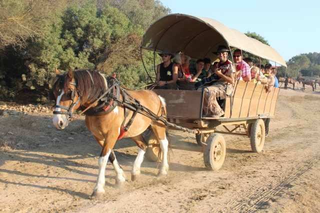 Pasea en carro por Son Serra