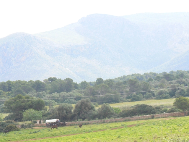 Ruta en carro del oesle en Son Serra