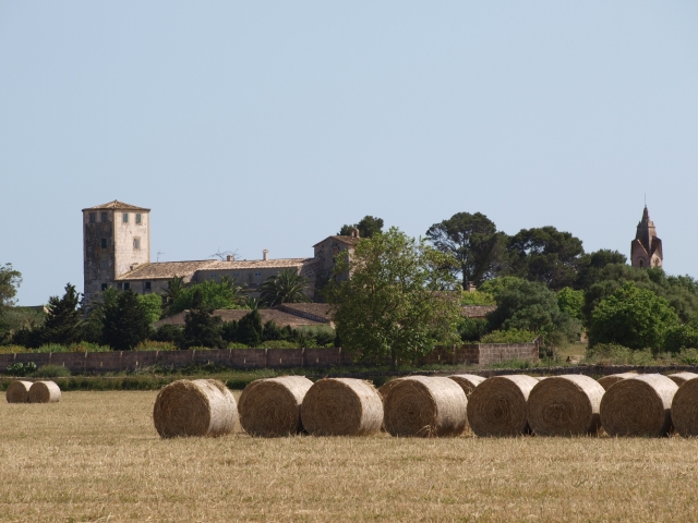 Visita el campo de Son Serra en Carro