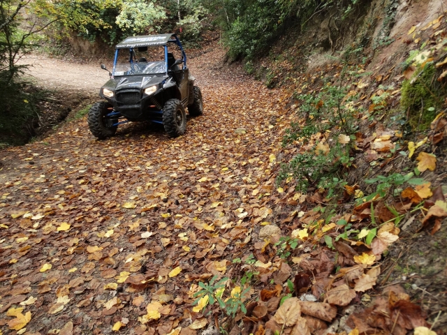 Conducir buggy en la Comarca de Anoia