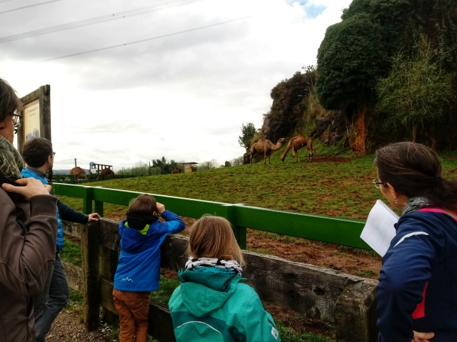 Visita al parque de Cabárceno