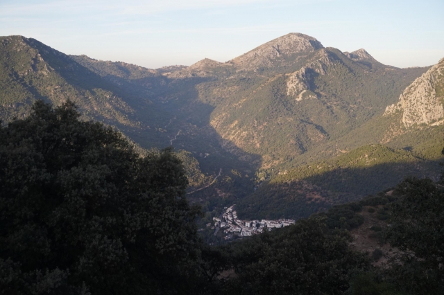  Mirador del Acebuchal