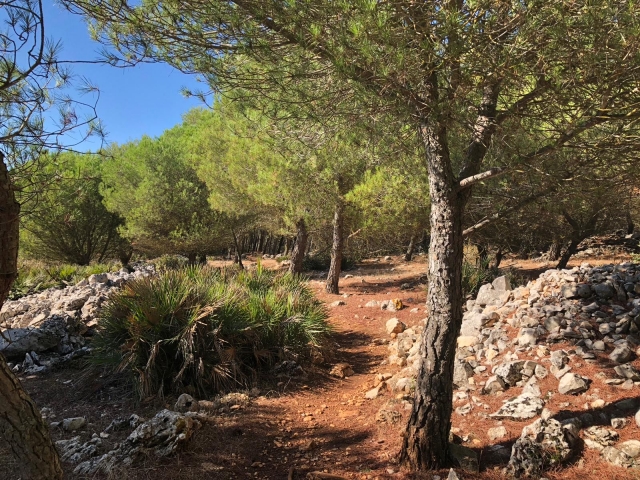  Geführte Tour von Gilena nach Estepa 