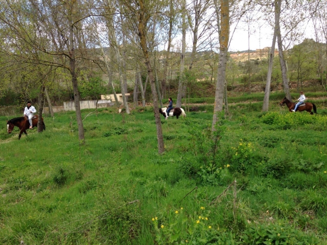  Equine route through the countryside of Morella 