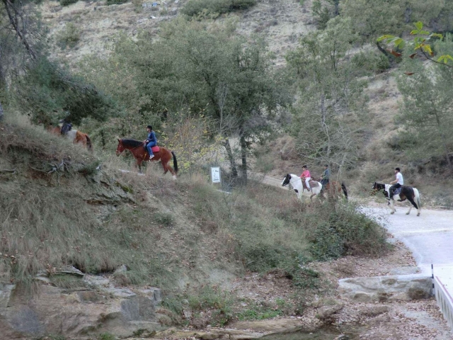  Horseback riding excursion for 4 in Morella 