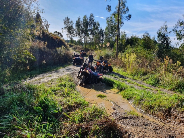 Terreno offroad en buggy