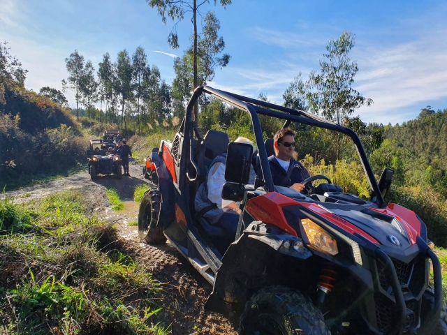  Offroad-Pfad mit Hindernissen 