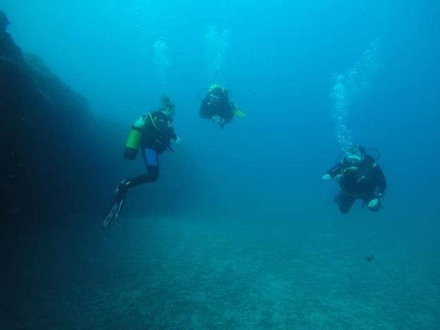 Plongée sur les plages de Gran Canaria 