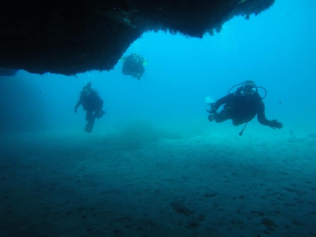  Voyage de plongée dans les eaux de l'Atlantique 