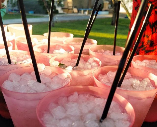  Cocktail show 