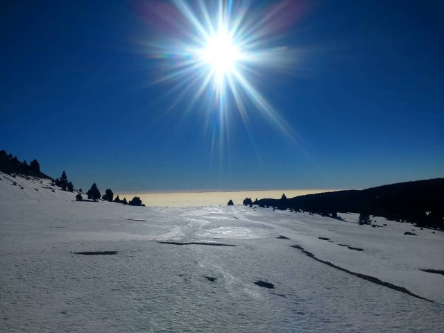  雪鞋健行体验 