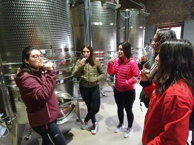 Visita à adega 