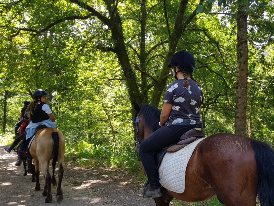 Discover Galicia on horseback Discover Galicia on horseback